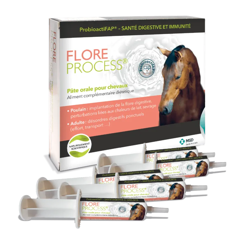 Flore Process Cheval 5 seringues de 20 ml